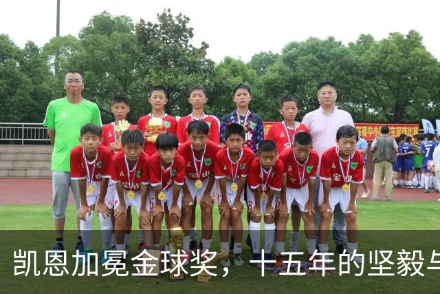 凯恩加冕金球奖，十五年的坚毅与突破终得回报
